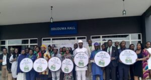 Save life, don’t wait for police report, stakeholders charge healthcare practitioners