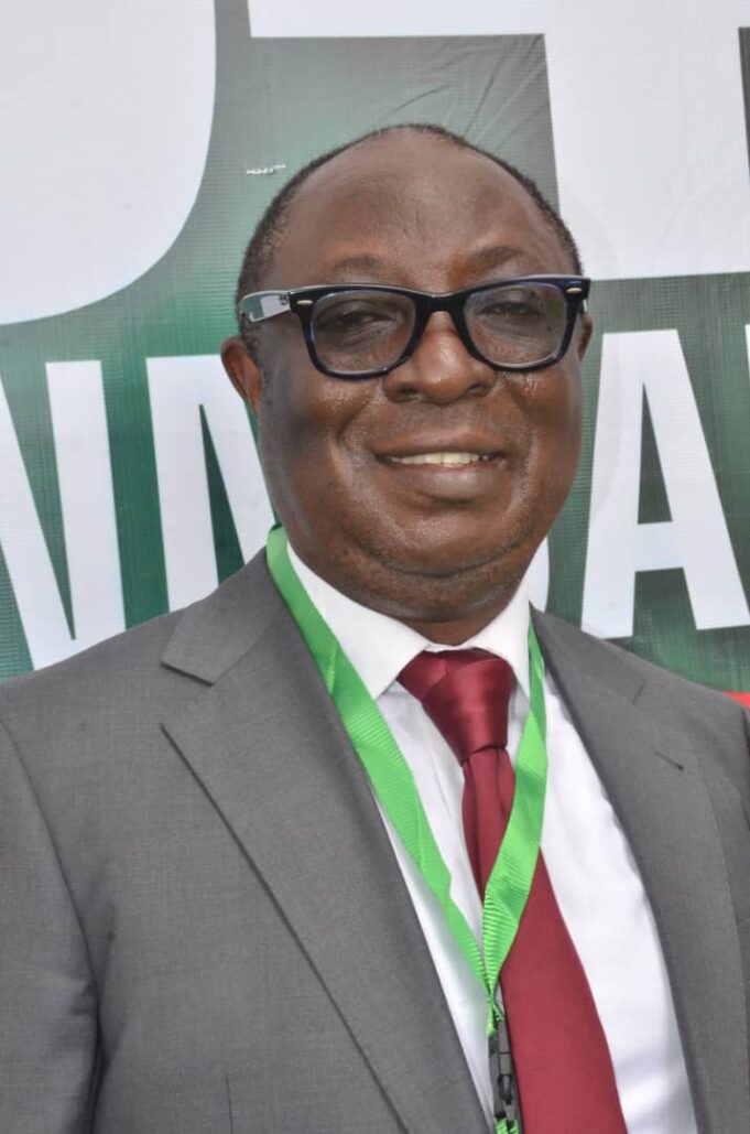 Low investment in energy sector portends great danger to Nigeria’s future- Economic Society President warns