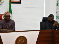 Adelabu to Nigerians: stop buying transformers, poles, cables for discos