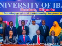 “Social scientists are leaders,” says UI DVC