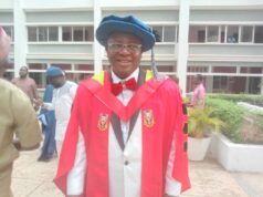 Establish crime prevention agency to address menace of youth violence, Don urges FG