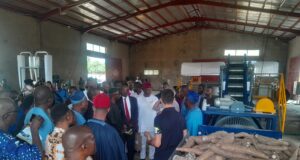 Makinde, AATF launch mechanised cassava production, processing plant