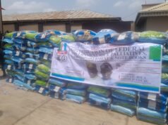 Oyo HoR member, Lafi, distributes over 2000 Tinubu’s rice, empowers 300 constituents with N100k cash