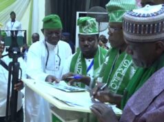 Southwest farmers, herders sign peace pact to boost food security, tackle clashes