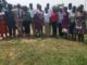 Climate change: Stakeholders make case for more tree planting