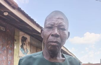 Ibarapa farmers laud Makinde on emergence of new council bosses