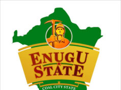 Enugu indigenes in Diaspora reject grazing bill, send open letter to Mbah, Speaker