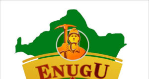 Enugu indigenes in Diaspora reject grazing bill, send open letter to Mbah, Speaker