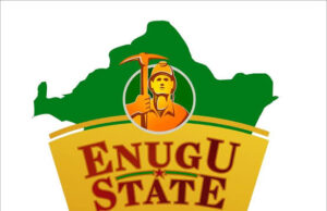 Enugu indigenes in Diaspora reject grazing bill, send open letter to Mbah, Speaker
