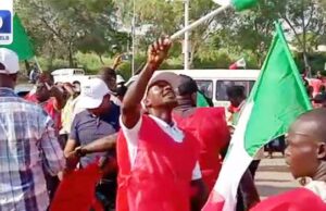 NLC, TUC put strike on hold for one week