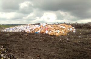 NAFDAC destroys N43bn worth substandard products, others in Oyo