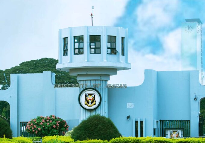 High unemployment rates contribute to cheap, exploited workers in Nigeria – UI Don