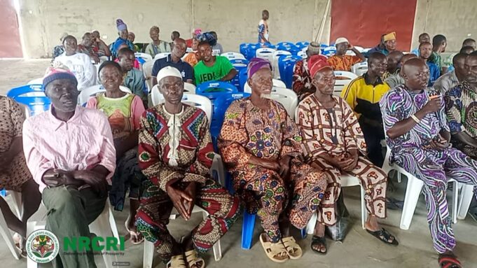 Southwest cassava farmers benefit, as AATF launches Good Agronomic Practices training program in Oyo