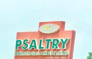 Firm supports out-growers with 600million cassava stems, agric loans, others