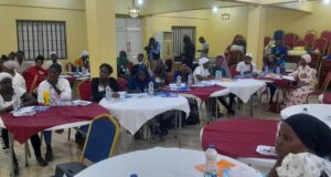Scholar, researcher advocate more funding for self employed women