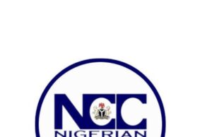 Ministries Set Up Joint Committee To Tackle Fiber Cuts During Road Construction/Rehabilitation Activities