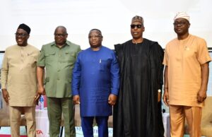 African countries have capacity to ensure global food sufficiency, says Makinde