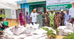 Senator Alli distributes seedlings to farmers in Oyo South to boost food security