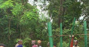CPEEL, AERD UI unveil solar-powered smart irrigation, crop dryer to enhance national food security