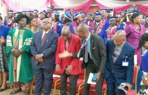 Nursing Council not folding her arms against auxiliary nurses, says Prof Adejumo