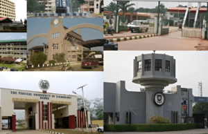 Professor Eníkànlómò and the Distressed Nigeria’s Public University