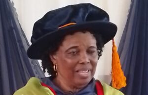 Debt-trap: Ex-President Jonathan’s Chief Economic Adviser fingers “development partners” over uncontrolled external borrowing