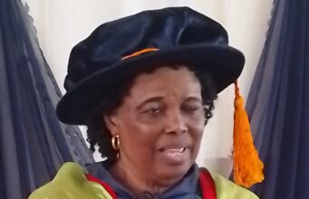 Debt-trap: Ex-President Jonathan’s Chief Economic Adviser fingers “development partners” over uncontrolled external borrowing