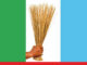 By-elections: Southwest APC assure of victory in Oyo, Ogun states
