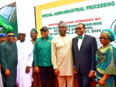 Shettima, AfDB president, Makinde break ground for Ijaiye Agribusiness devt hub