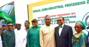 Shettima, AfDB president, Makinde break ground for Ijaiye Agribusiness devt hub