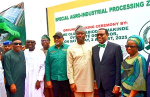 Shettima, AfDB president, Makinde break ground for Ijaiye Agribusiness devt hub