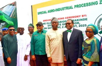 Shettima, AfDB president, Makinde break ground for Ijaiye Agribusiness devt hub
