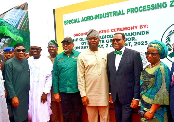 Shettima, AfDB president, Makinde break ground for Ijaiye Agribusiness devt hub