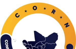 North central violence: conflict, peacebuilding experts urge FG to regulate community based vigilant groups