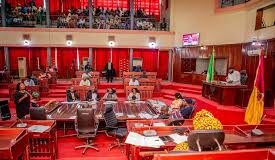 Oyo Assembly seeks urgent expansion of computer education in public schools