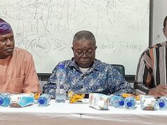 Royal supremacy tussle: Don challenges historians, calls for retreat to educate traditional rulers