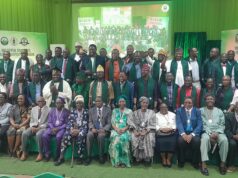 How FG can turn brain drain to brain gain – Prof Otolorin