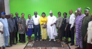 Don’t blame courts for conflicting rulings – CCII PG