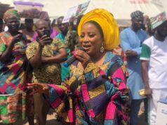 Female banker, finance expert declares interest in Oyo Assembly race