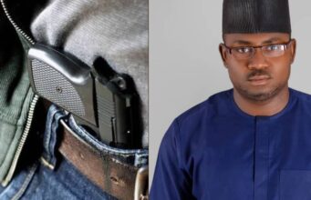 Calls for Nigerians to bear arms is an invitation to chaos – Security expert