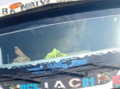 Police recovers diverted cement, truck worth N18m, arrest suspects in Ibadan