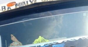 Police recovers diverted cement, truck worth N18m, arrest suspects in Ibadan