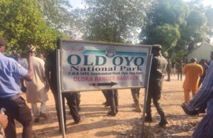 N30bn FG fund: Don’t return the money, support those in need – Bodija residence urges Makinde