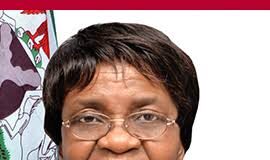 Prioritising profits over public health: House Committee on NAFDAC’s endless regulatory wars