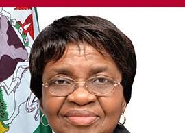 Prioritising profits over public health: House Committee on NAFDAC’s endless regulatory wars