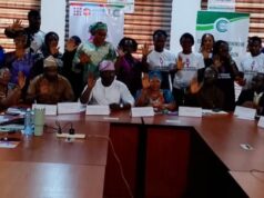 Stakeholders make case for sustained investment, commitment to end FGM In Oyo