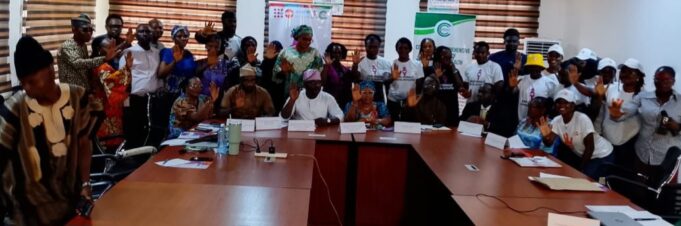 Stakeholders make case for sustained investment, commitment to end FGM In Oyo