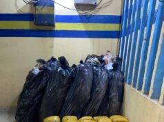 Police raid suspected drug dealer’s hideout, recovers suspected indian hemp, Canadian loud in Ibadan