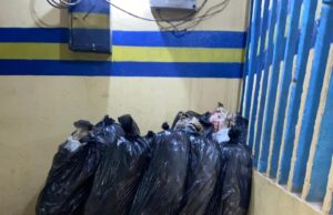 Police raid suspected drug dealer’s hideout, recovers suspected indian hemp, Canadian loud in Ibadan