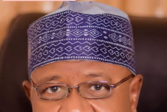 Ardo says push to remove Tinubu is about saving Nigeria, not Northern agenda